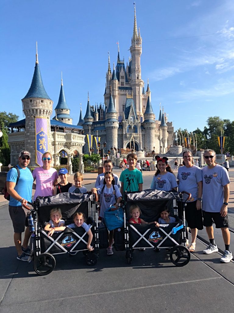 keenz stroller wagon disney rental