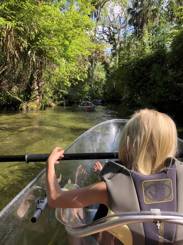 Clear Kayak 