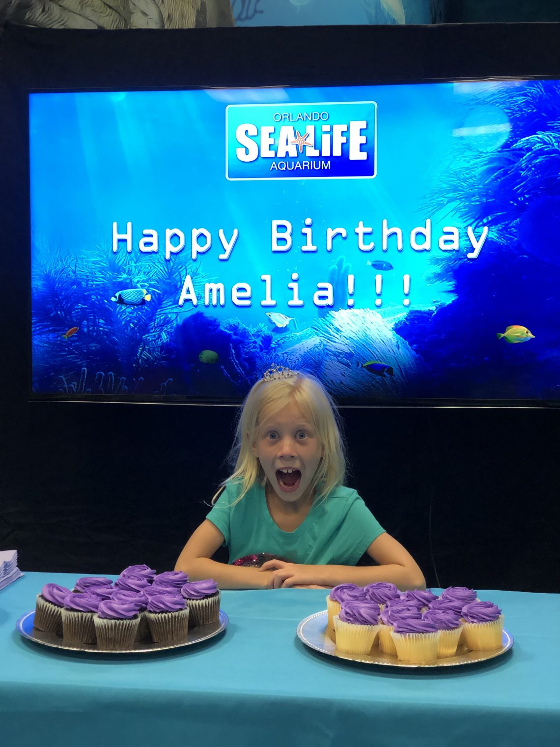 Have an Underwater Birthday Party at SEA LIFE Aquarium Amber Likes