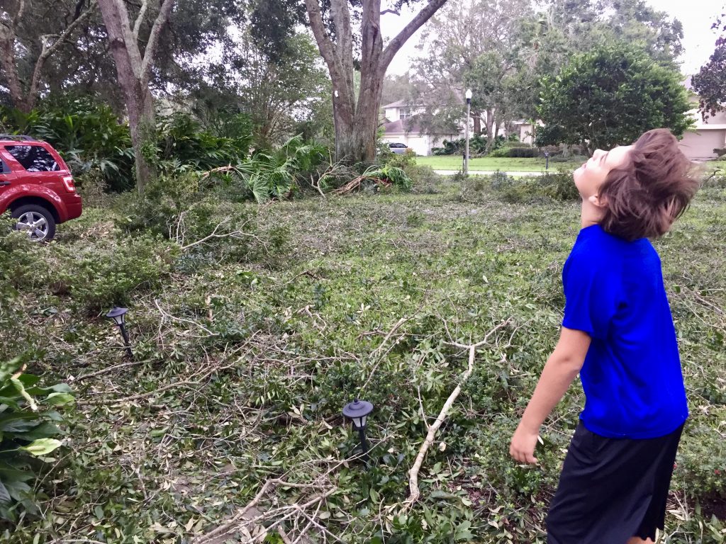 Hurricane Irma cleanup