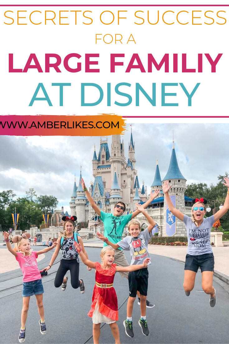 Disney with a Large Family 5 Secrets to Success Amber Likes