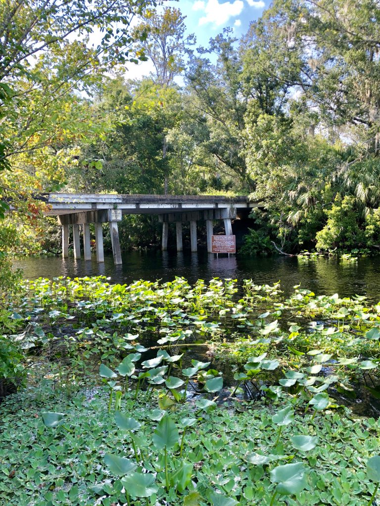 Places to go kayaking in Florida 