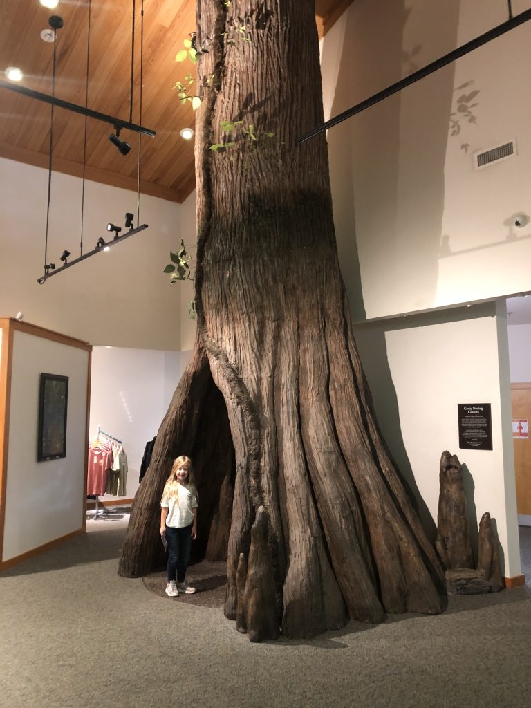 congaree visitor's center