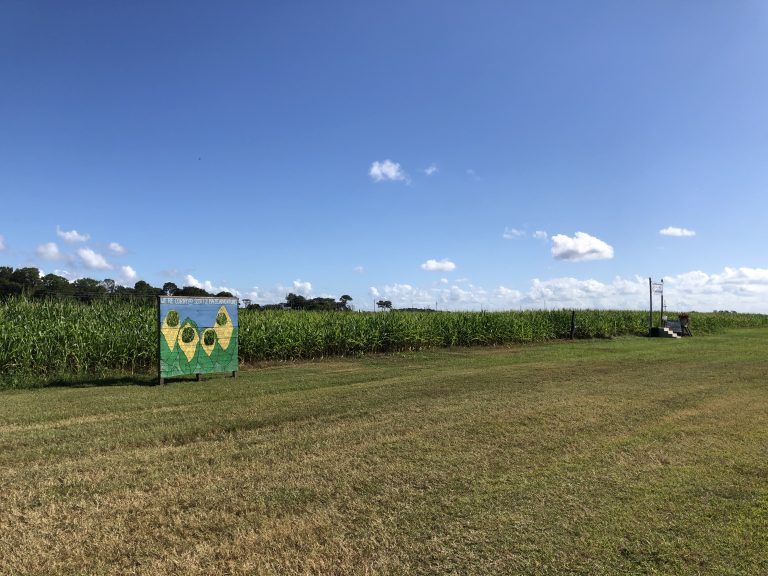 Central Florida Fall Fun Long and Scott's Farm Amber Likes
