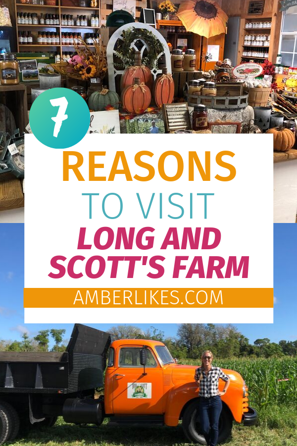 Are you looking for Central Florida Fall activities? Check out Long and Scott's Farm as Orlando travel blogger, Amber Likes shares the experience!