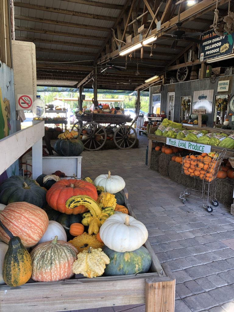 Fall farm Central Florida 