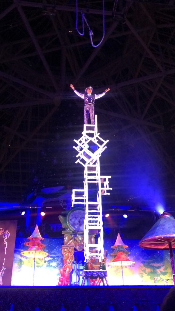 Gaylord Palms Cirque