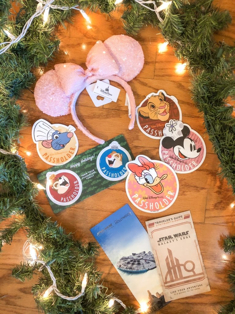 Disney World annual pass magnets