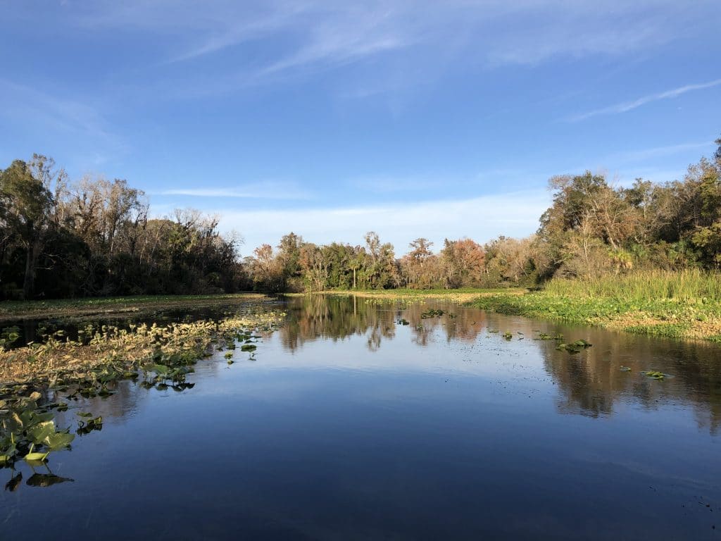 Wekiva Island