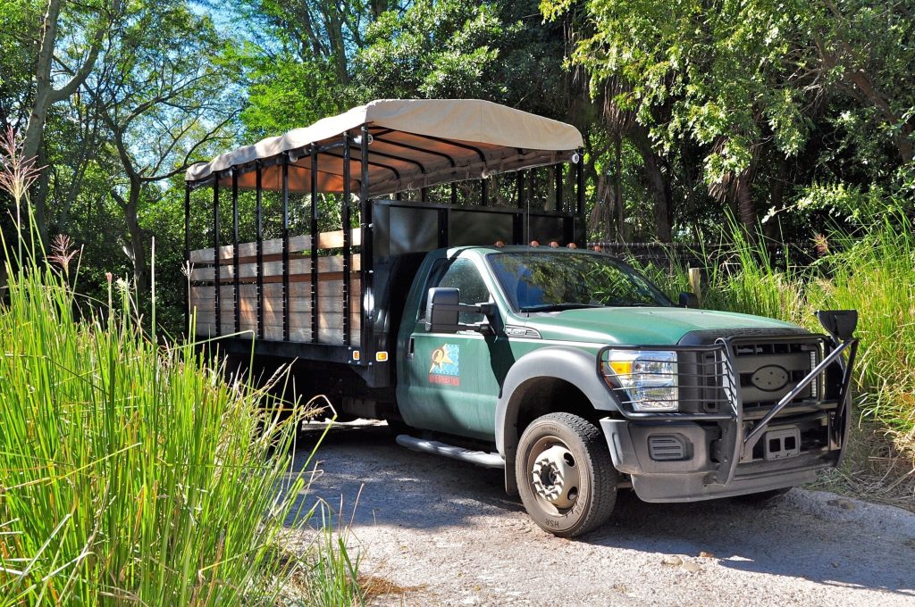 Wild Africa Trek truck