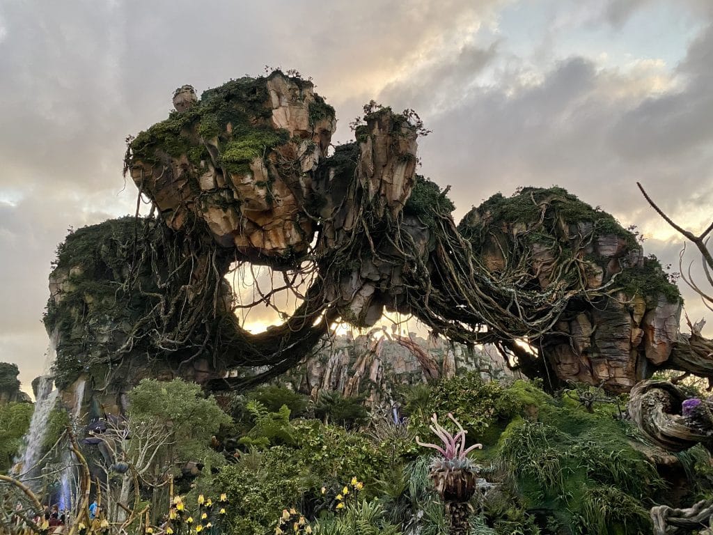 animal kingdom pandora