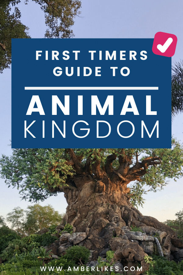 Looking to visit Disney's Animal Kingdom for the first time? Be sure to read all of my tips for visiting Animal Kingdom before you visit on your family vacation!