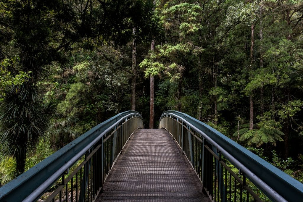 get outside to local parks