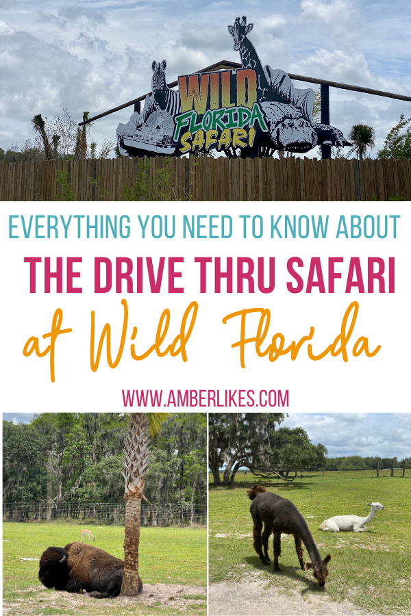 Wild Florida drive thru safari