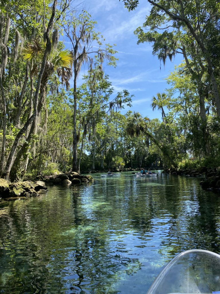 Three Sisters Springs kayaking tours