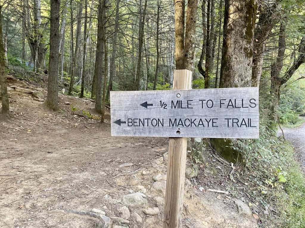 Fall Branch Falls trailhead