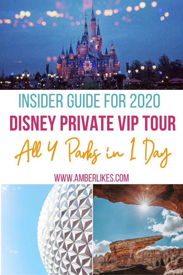 Disney VIP Tour