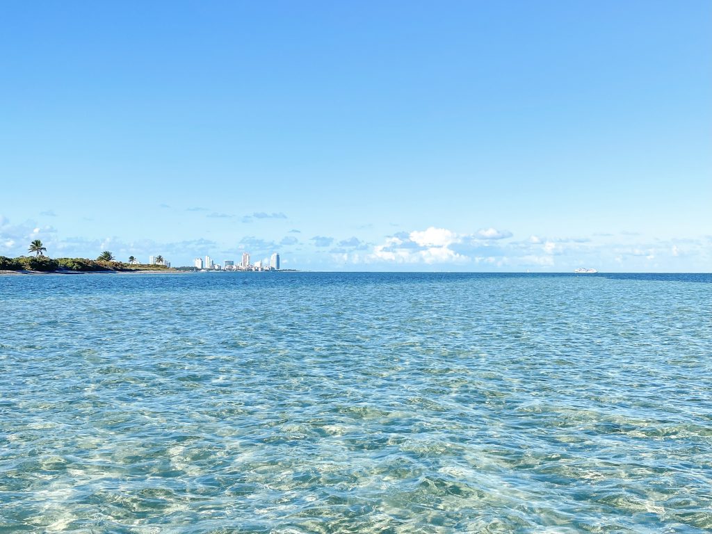 Crandon Park Beach skyline Miami