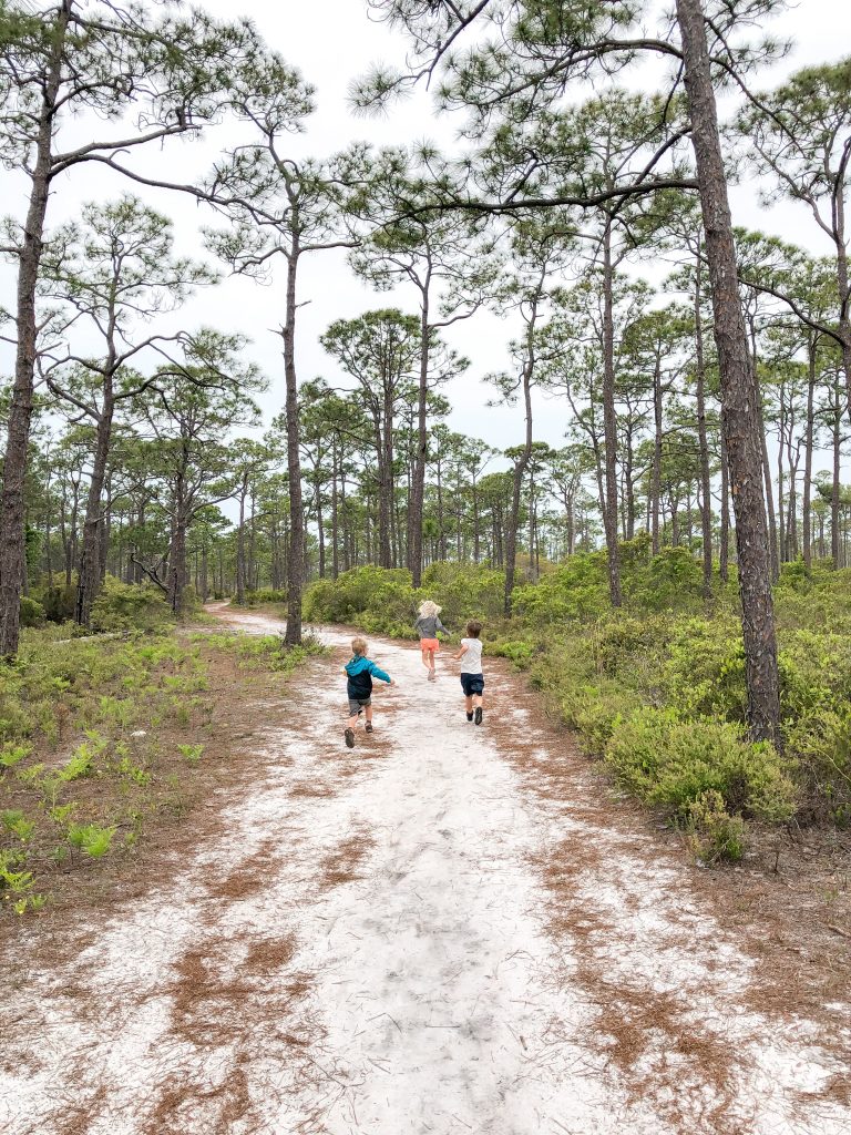 Dr. Julian Bruce State Park