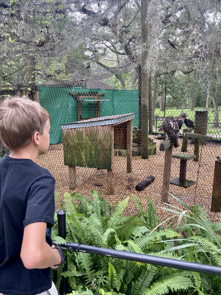 Moccasin Lake Raptor Sanctuary