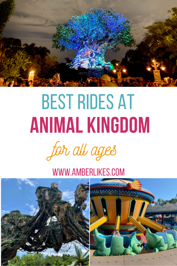 best rides at Animal Kingdom