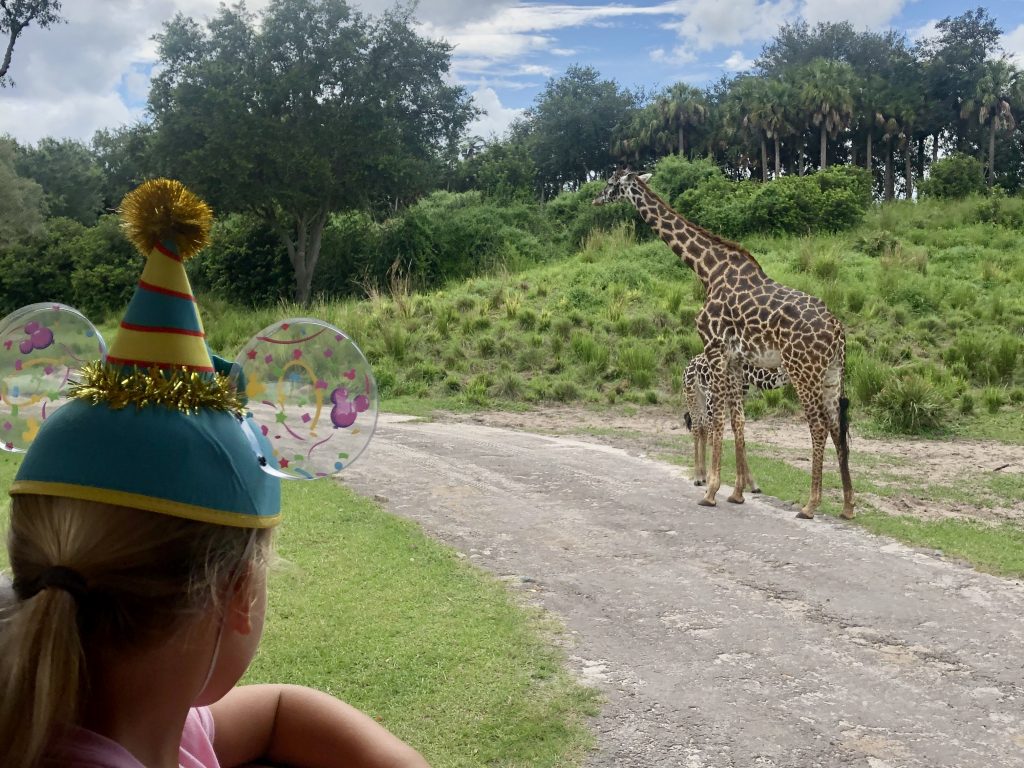 Safari at Animal Kingdom