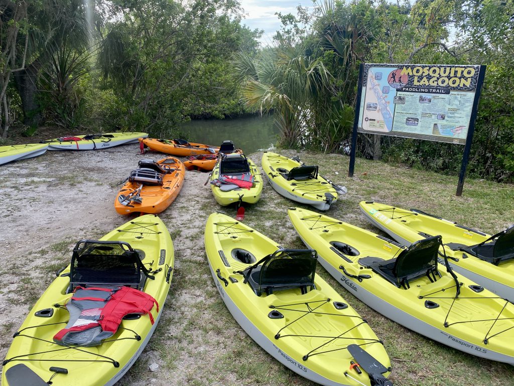 kayaking in new smyrna beach