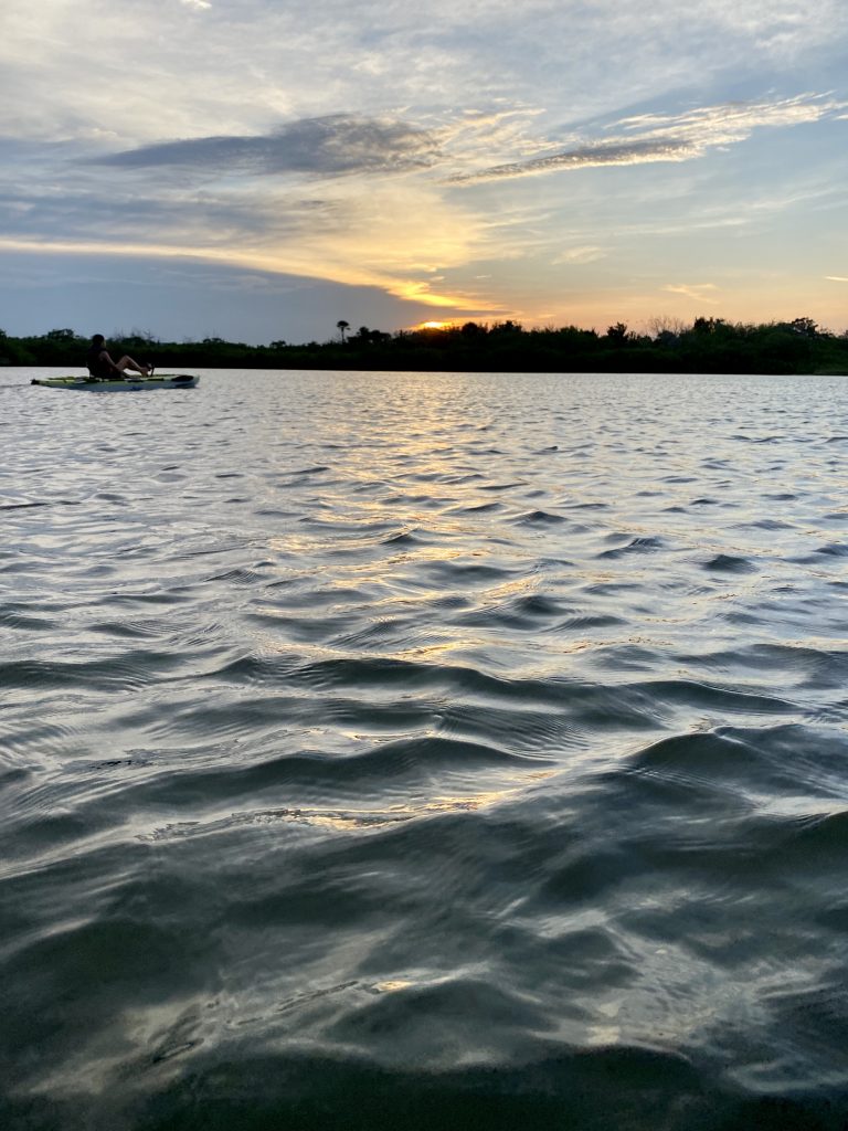 kayaking in new smyrna beach