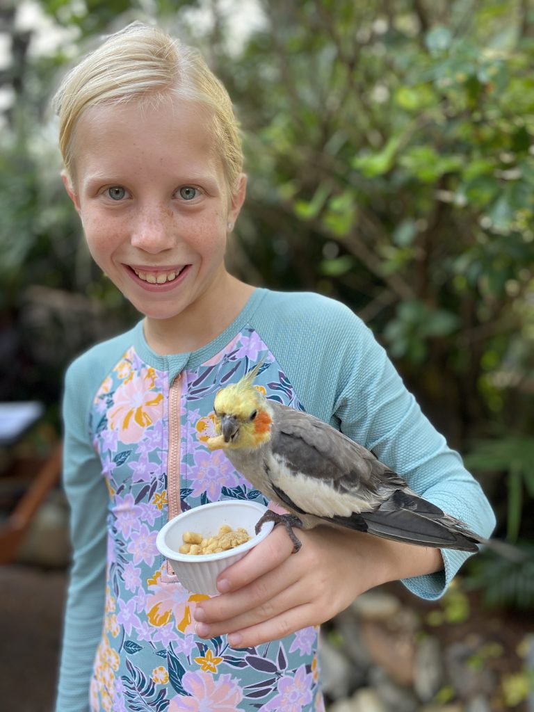 Discovery Cove aviary