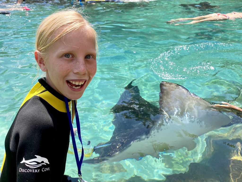 stingrays at Dolphin Cove Orlando