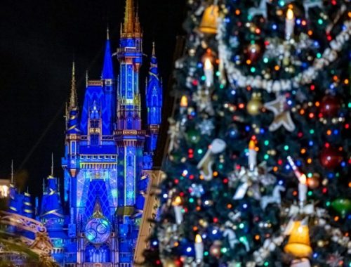 Holidays Have Officially Begun at Walt Disney World Resort