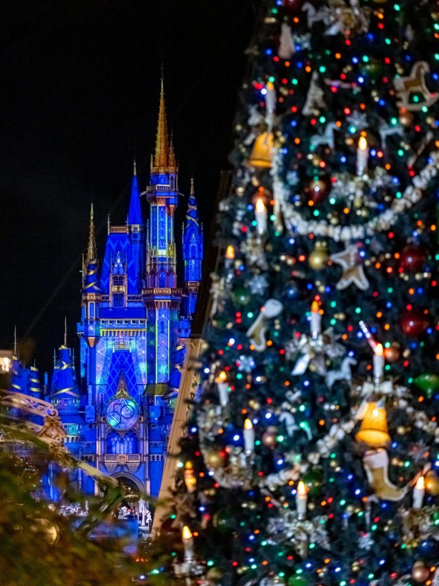 Merry Christmas Disney
