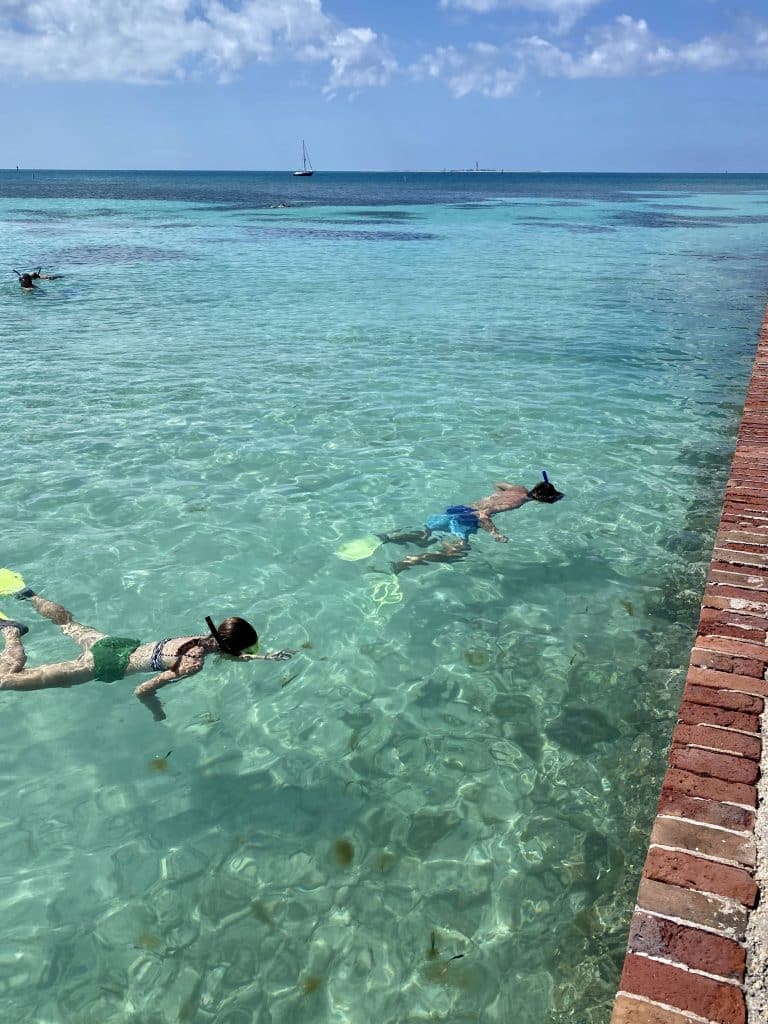 Dry Tortugas snorkeling