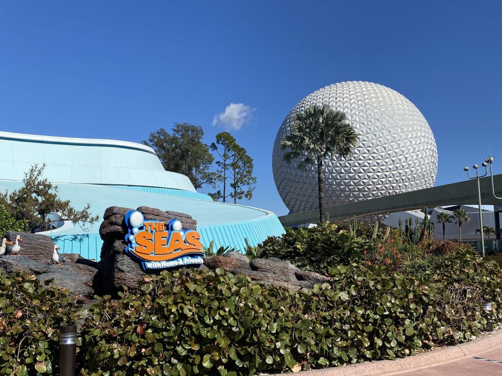 Epcot Dolphins in Depth