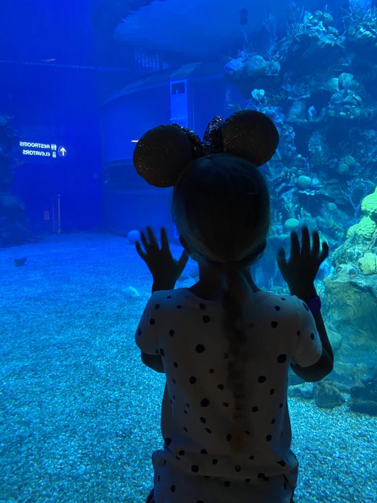 The Living Seas at Epcot
