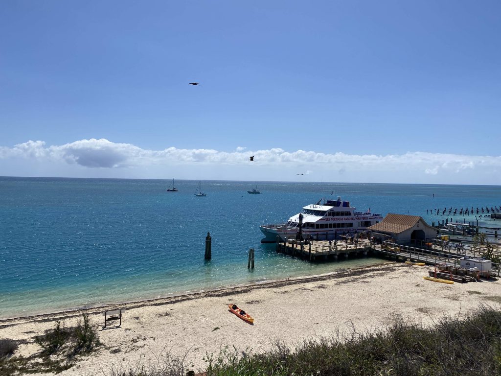 Dry Tortugas snorkeling