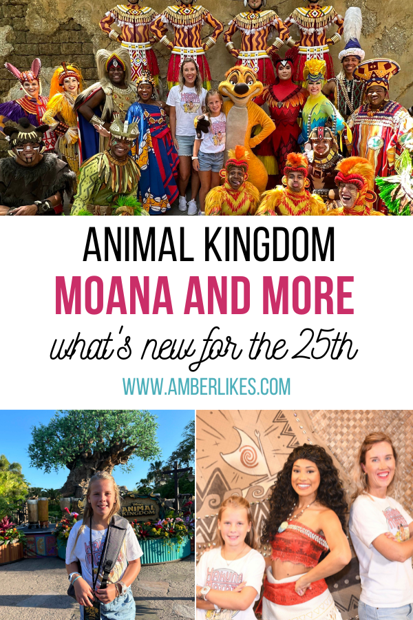 is animal kingdom worth it