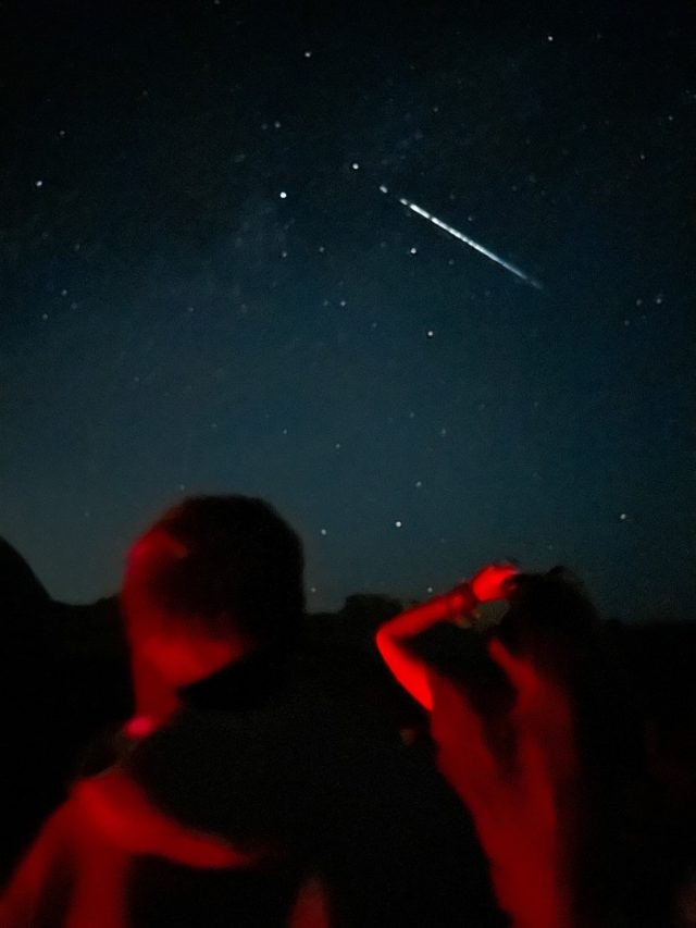 Joshua Tree Stargazing