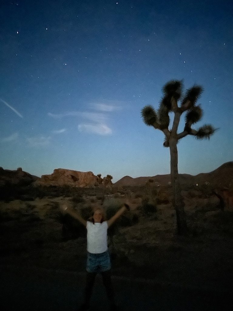 Joshua Tree Stargazing