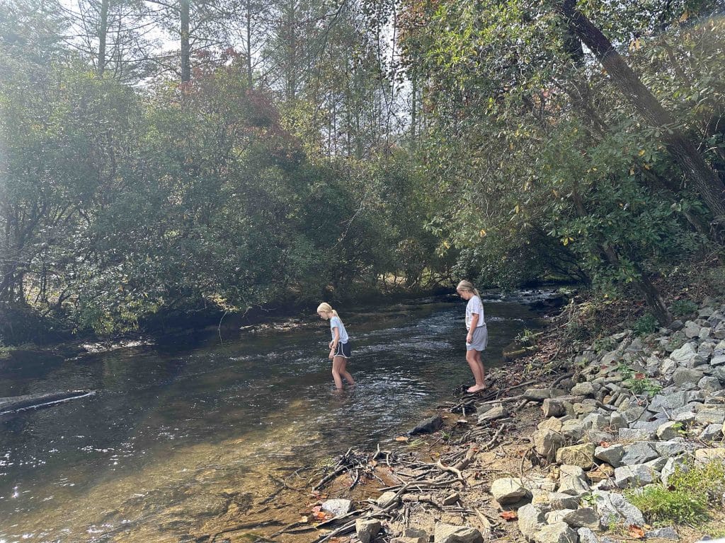 Blue Ridge GA cabin