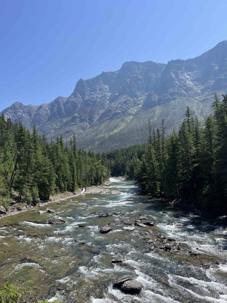 glacier national park with kids